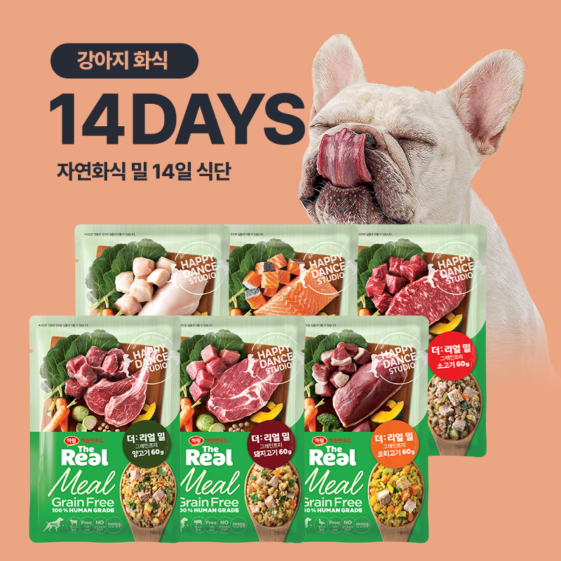 강아지 화식 2주 식단 (60g x 14팩)